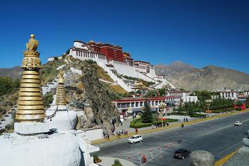 西藏，历史、文化与自然环境的深度探索