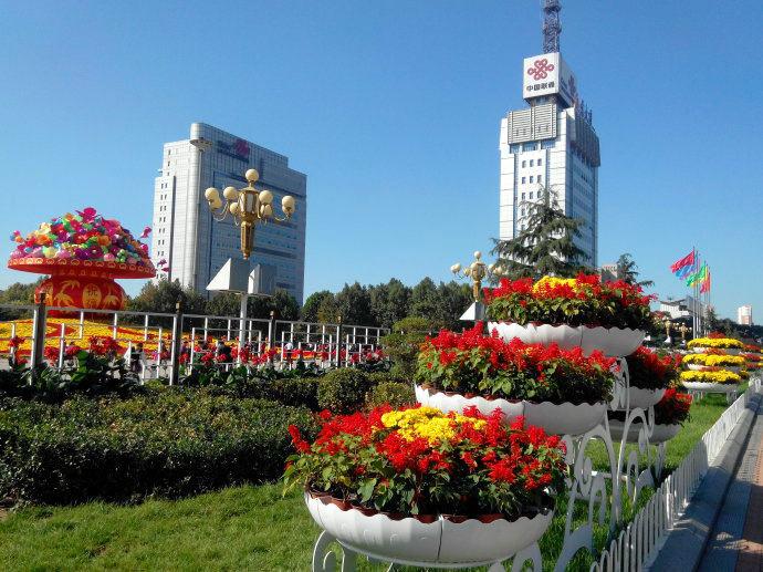 保定，古老活力之城的魅力绽放